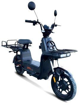 Електроскутер GTM X-CAR GO ELS-234 фото
