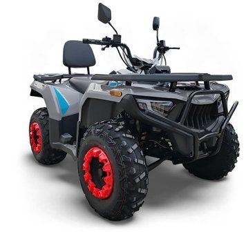 Квадроцикл FORTE ATV-250BS-К PRO KVD-300 фото