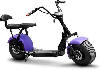 ElWinn Citycoco CCS-161 ELS-082 фото