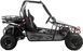 Багги ASIX Buggy 200 см3 BAG-052 фото 7