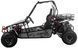 Багги ASIX Buggy 200 см3 BAG-052 фото 4