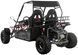 Багги ASIX Buggy 200 см3 BAG-052 фото 5