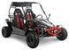 Багги ASIX Buggy 200 см3 BAG-052 фото 1