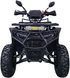 Квадроцикл SPARK Taurus 200 KVD-418 фото 2