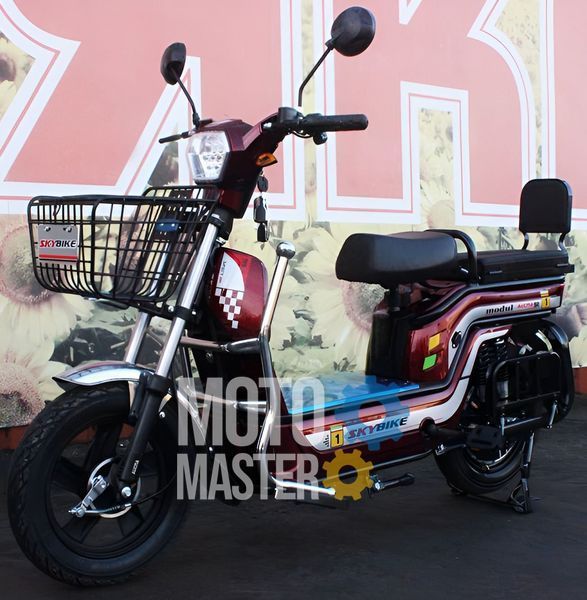 Электровелосипед Skybike MODUL AUCMA ELV-004 фото