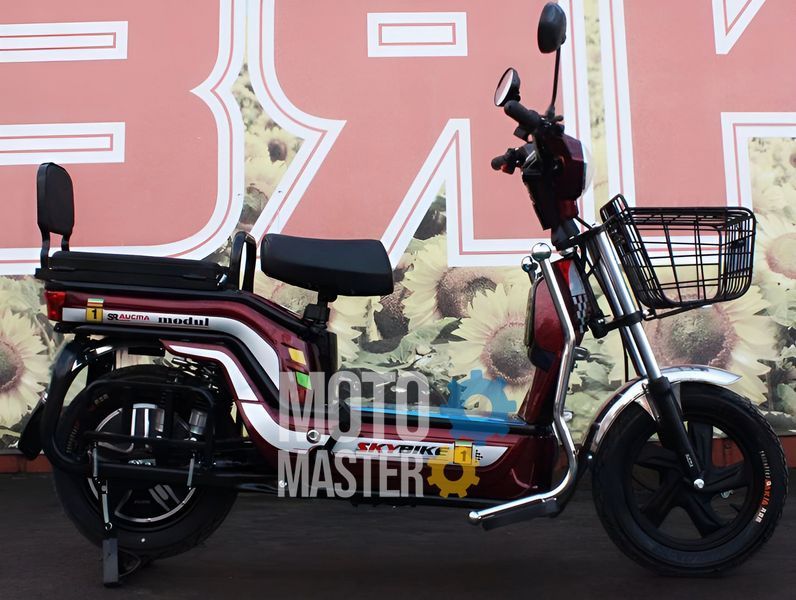 Электровелосипед Skybike MODUL AUCMA ELV-004 фото
