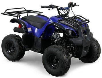 Квадроцикл SPARK SP110-3 KVD-111 фото