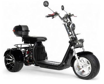 Електротрайк CityCoCo Trike Pro ELT-017 фото