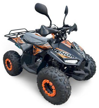 Квадроцикл FORSAGE MOTO Venom 110 KVD-356 фото