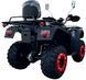 Квадроцикл FORTE ATV-250BS PRO KVD-260 фото 4