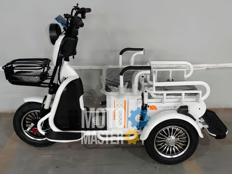 Электротрайк FORTE СARGO ELT-022 фото
