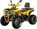 Квадроцикл SPARK SP200-5Е KVD-326 фото 3