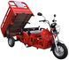 Трицикл грузовой RENEGADE LTA-200CC TRI-010 фото 6