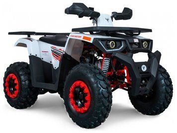 Квадроцикл FORTE BRAVES 200 LUX KVD-125 фото