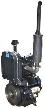 Двигун JDL1100 (Xingtai DLH 1100) DVIG098 фото