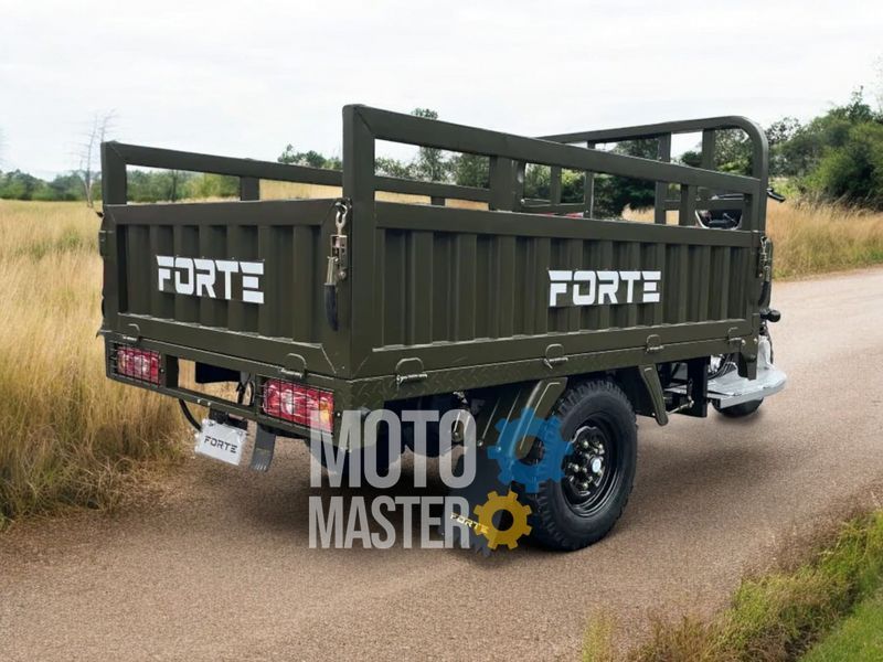 Трицикл грузовой FORTE ATV250ZH-T (Черно-красный) TRI-013-Blr фото