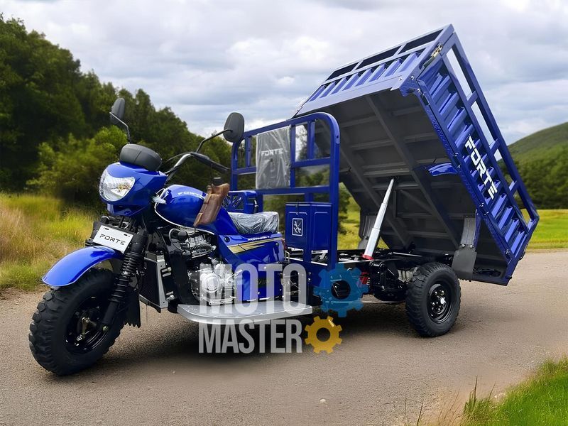 Трицикл грузовой FORTE ATV300ZH-T (Черно-красный) TRI-014-Blr фото