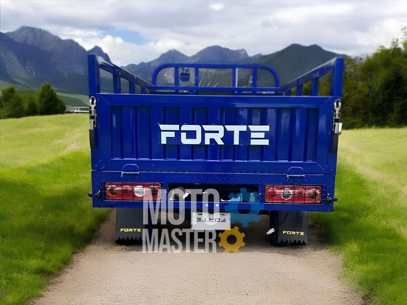 Трицикл грузовой FORTE ATV300ZH-T (Черно-красный) TRI-014-Blr фото