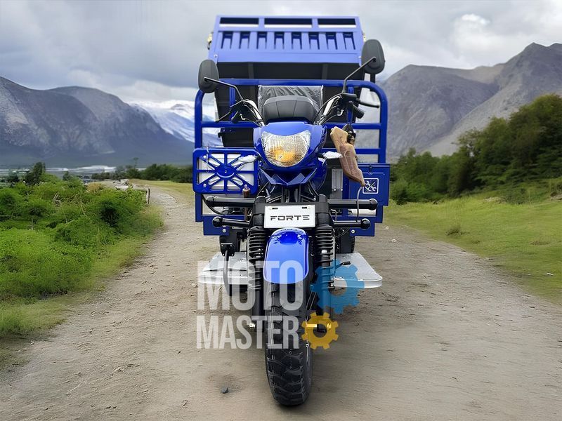 Трицикл грузовой FORTE ATV300ZH-T (Черно-красный) TRI-014-Blr фото