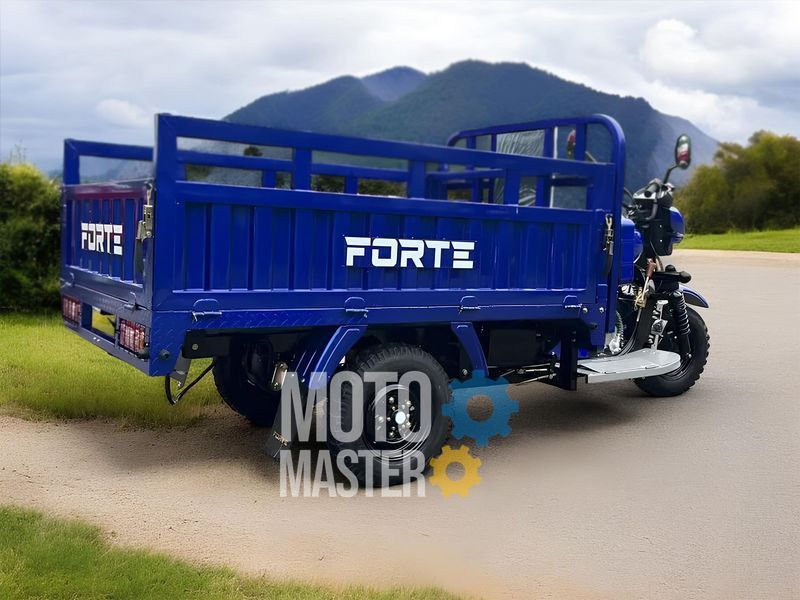 Трицикл грузовой FORTE ATV300ZH-T (Черно-красный) TRI-014-Blr фото