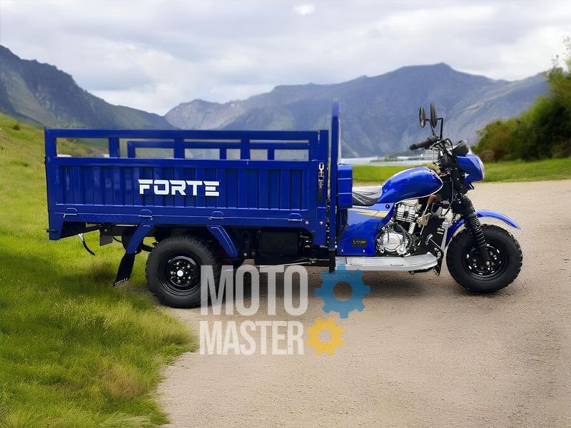 Трицикл грузовой FORTE ATV300ZH-T (Черно-красный) TRI-014-Blr фото
