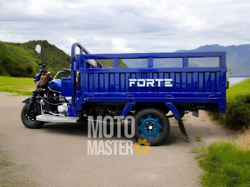 Трицикл грузовой FORTE ATV300ZH-T (Черно-красный) TRI-014-Blr фото