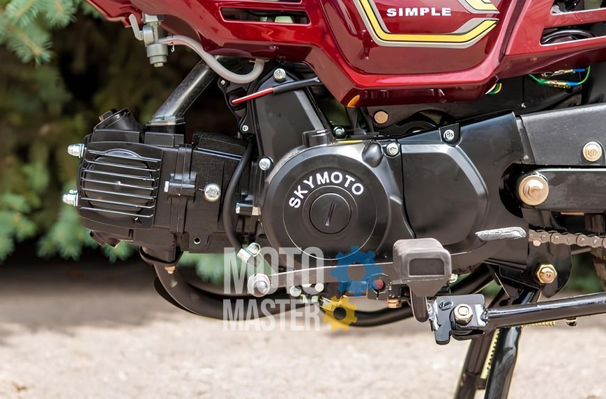 Мопед SKYMOTO SIMPLE 110 MOP-046 фото