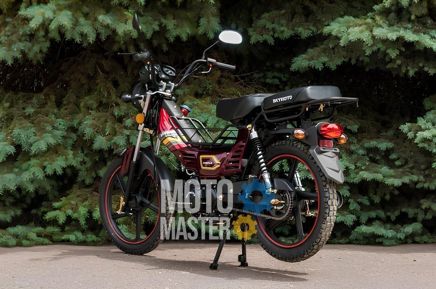 Мопед SKYMOTO SIMPLE 110 MOP-046 фото